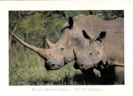 (206) Rhinoceros - Tchad Republic - Rhinocéros