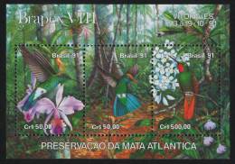 Brasile - 1991 - Nuovo - Uccelli - Mi Block 86 - Neufs