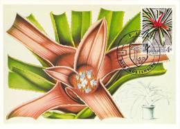 BELGIQUE CARTE MAXIMUM NUM.YVERT 1741  FLORALIES  GANTOISES - 1971-1980