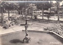 77 - FONTENAY TRESIGNY - Dans Le Jardin Public. CPSM 1963 - Fontenay Tresigny