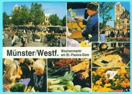 Postcard - Munster, Market       (V 16200) - Münster