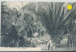 KKS 248/ C P A   -  ASIE- JAMAICA -   CASTLETON GARDENS - Other & Unclassified