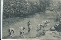 KKS 250/ C P A   -  ASIE- JAMAICA -   WASHING DAY PORT ANTONIO - Autres & Non Classés