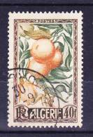 Algérie N°281 Oblitéré - Used Stamps