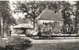 Oisterwijk Muziektent Met Oude Linde - Autres & Non Classés