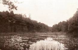 Oisterwijk Choorven - Sonstige & Ohne Zuordnung