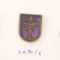 RK MILICIONAR (policeman) Novi Sad (Serbia) Yugoslavia / Purple - Handbal