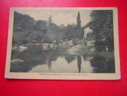 CPA  OU CPSM  MAREUIL ET ENVIRONS LES ROCHERS DE PICQUET    VOYAGEE - Mareuil Sur Lay Dissais