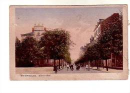 ESCH WEILER   ROSEN ALLEE - Wiltz