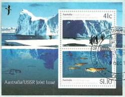 Bloc Feuillet  Oblitéré  # 14 . Cooperation Scientifique En Antarctique.  Bonne Qualité - Used Stamps