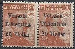 1918 TRENTINO EFFIGIE 20 H VARIETà MNH ** - RR11238-2 - Trento