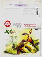 Bird Password,Rare Bird,China 2007 Henan New Year Greeting Pre-stamped Letter Card - Hirondelles