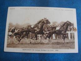 CP.. CHEVAL BENJAMIN III BATTANT BRIDGE A LA LUTTE ..1929.. 1 TROU DE PUNAISES..RECTO VERSO - Reitsport