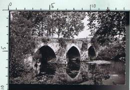 85   MONTAIGU LE PONT NEUF - Montaigu