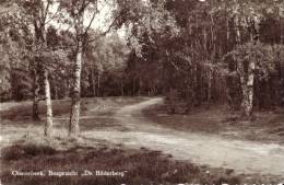 Bosgezzicht De Bilderberg - Oosterbeek