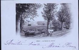 Delcampe - ORSAY LE PEINTRES  EN 1902 - Orsay