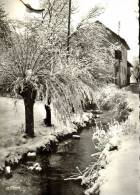 CPSM  SAINT JEOIRE EN FAUCIGNY , Les Bords D'hisson En Hiver - Saint-Jeoire