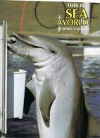 (755) Australia - QLD - Sea World & Dolphin Eating Fish - Dauphins