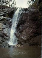 (755) Australia - QLD - Cedar Creek Falls - Autres & Non Classés