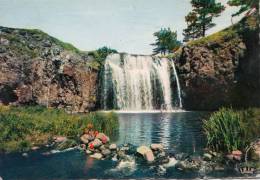 BR47775 Cascade De Vetrines Aux Environs De Condat En Feniers     2 Scans - Condat