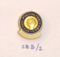 HANDBALL FEDERATION OF SERBIA / Yugoslavia / Jubilee Pin 1973 (made: BERTONI Milano) - Pallamano