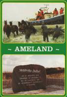 Ameland   Views  A-692 - Ameland