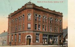 Sydney CB Bank Of New Scotia 1905 Postcard - Sonstige & Ohne Zuordnung