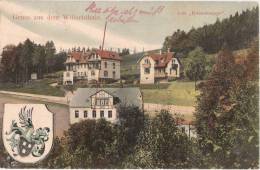 Gruß Aus Dem Wilischthal Amtsberg Alte Kuhschnappe Wappen Color 20.7.1908 Gelaufen - Zschopau