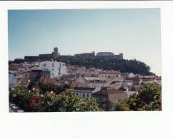 Portugal Cor 20245 - PALMELA - FOTOGRAFIA PARTICULAR - NOT POSTCARD !!! PHOTO 1990 - Setúbal