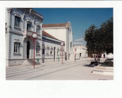 Portugal Cor 20246 - PALMELA - FOTOGRAFIA PARTICULAR - NOT POSTCARD !!! PHOTO 1990 - Setúbal