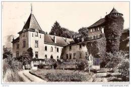 LUGRIN. LE CHATEAU D´ALLEMAN. REF 9900 - Lugrin