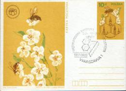 Poland-Postal Stationery Postcard 1987-Congress Apimondia-(honeybee;abeil Le;Bienen) - Honeybees