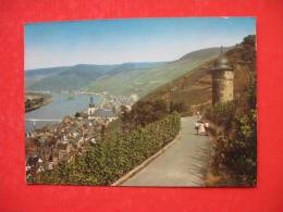 Zell (Mosel) - Zell