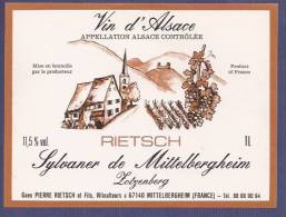 P553 - Vin Alsace SYLVANER - ZOTZENBERG De MITTELBERGHEIM - - Vino Bianco