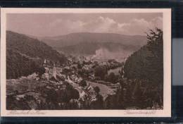 Altenbrak Im Harz - Gesamtansicht - Altenbrak