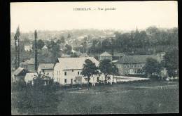 38 CORBELIN / Vue Générale / - Corbelin