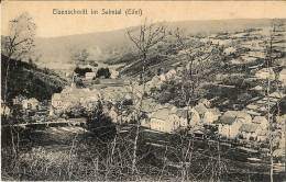 CPA  ALLEMAGNE EIFEL EISENSCHMITT IM SALMTAL , Village De Montagne - Bitburg