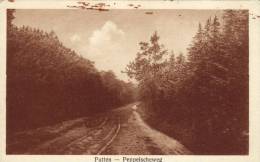 Peppelscheweg - Putten