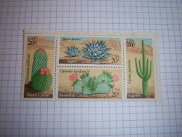 Plantes Du Désert - 1981 - Cactées - USA - Cactus