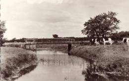 Roden Lieverensebrug - Andere & Zonder Classificatie