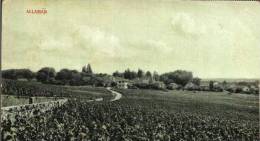 ALLAMAN-VUE GENERALE-1922-LES VIGNES - Allaman