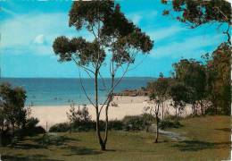 CPSM Australie-Huskisson-Jervis Bay    L1201 - Other & Unclassified