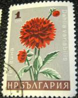 Bulgaria 1966 Flowers Dahlia 1 - Used - Usados