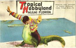 Dangerous Stunt Performed At Tropical Hobbyland, Indian Village, Miami, Fla. - & Alligator - Miami