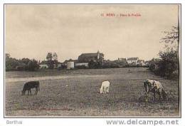 89 HERY - Dans La Prairie - Hery