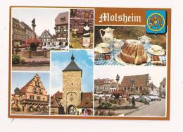 ( 67 ) MOLSHEIM - Molsheim