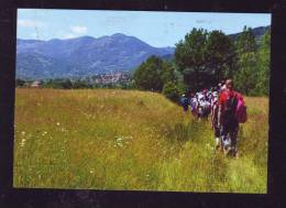 SCOUTISME,SCOUT,SCOUTING, CERCETASII  ROMANIA , POST CARD UNUSED. - Scouting