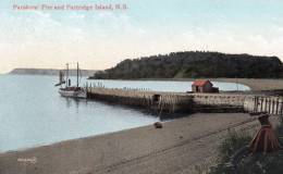 Parsboro Pier And Partridge Island 1905 Postcard - Andere & Zonder Classificatie