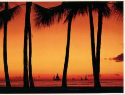 (139) USA - Hawaii Sunset - Other & Unclassified