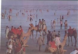 (139) Pakistan - Clifton Beach With Camel Rides - Pakistán